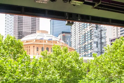The State Library dome through the trees, seen from the Asian Beer Cafe balcony